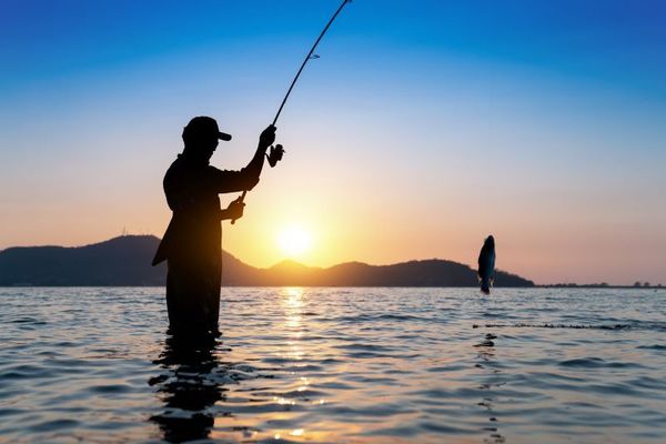 Article Cover Image: AFTCO - A great MACH architecture example