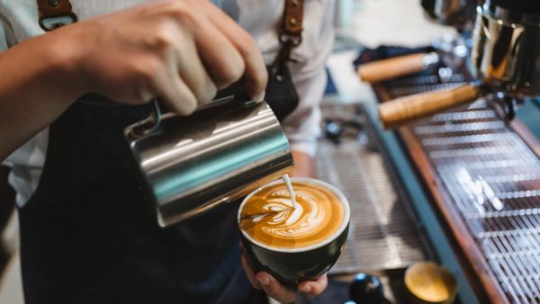 Article Cover Image: Case Study: Fixing Salt's Broken SEO